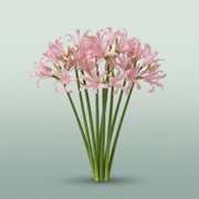 FeedSync:wholesale:2f6b5e9476c41d612305e021241d896a1ec0959f