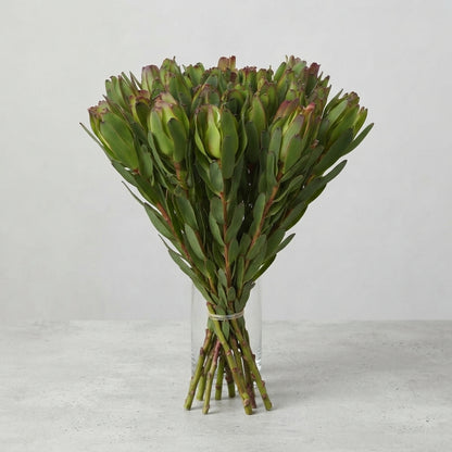 FeedSync:wholesale:b955179b3245a70221ac0ba7fbf28bfe61cbb53f