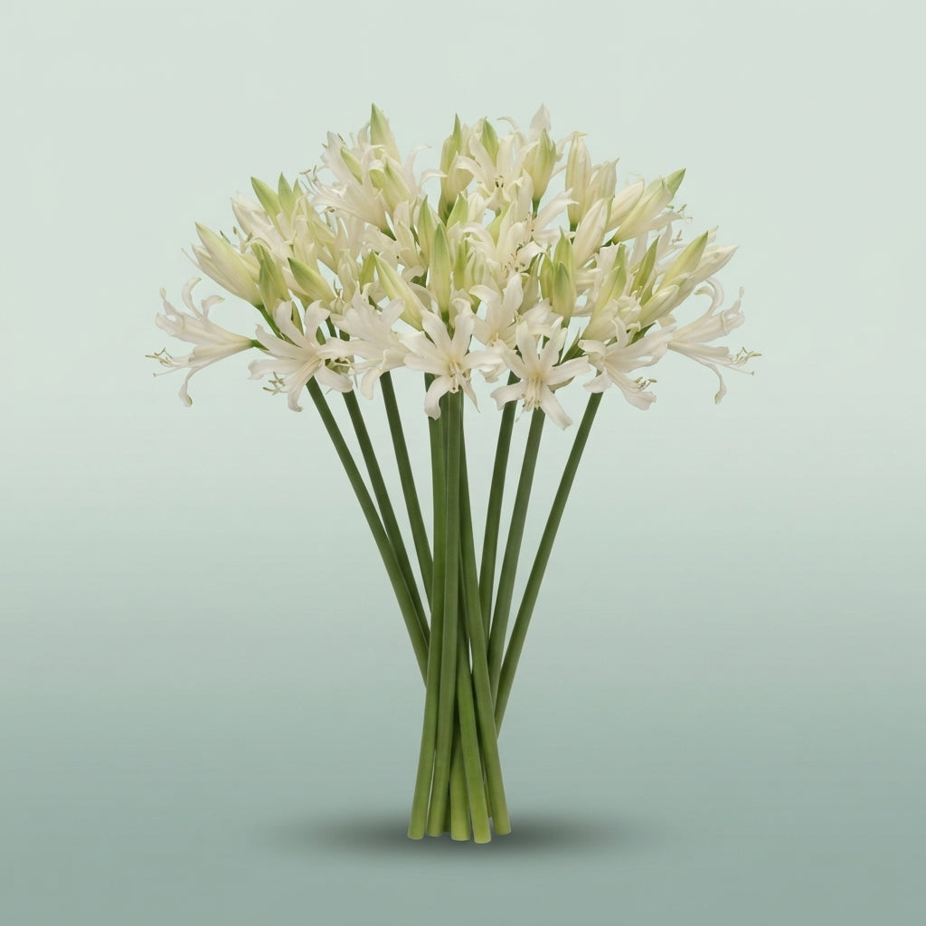 FeedSync:wholesale:1cb62799d0fdacc13030f2b5bee461d925352bca