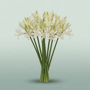 FeedSync:wholesale:1cb62799d0fdacc13030f2b5bee461d925352bca