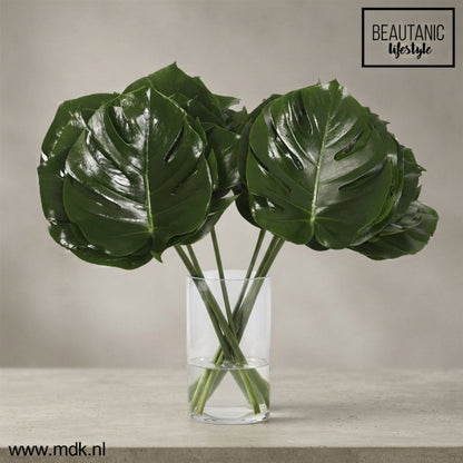 FeedSync:wholesale:c9a6de1f3b55f28131215fb1130148c7b8e3a7a2