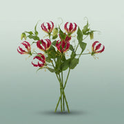 FeedSync:wholesale:178a841cfa465515cdf504f29df310cad9a720e9