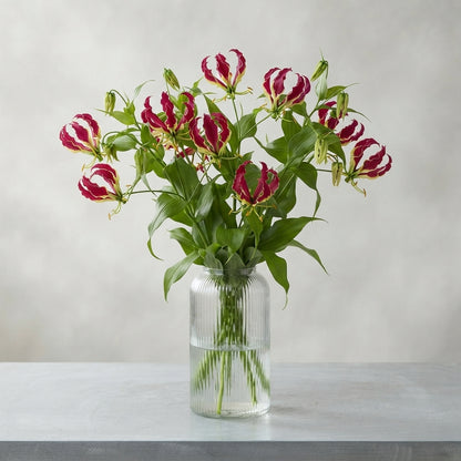 FeedSync:wholesale:8a4277263e14a184f77e6560d0021133709eaac7