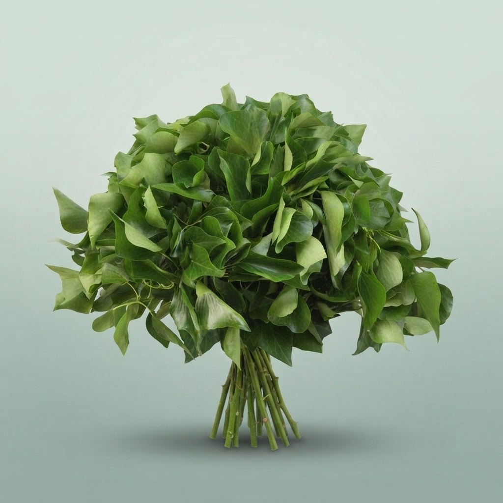 FeedSync:wholesale:cdafaa10eb7dc5e14e14f0dbd2bebc346c12ca6b