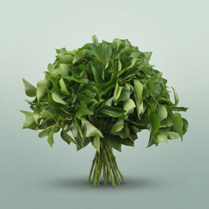 FeedSync:wholesale:cdafaa10eb7dc5e14e14f0dbd2bebc346c12ca6b