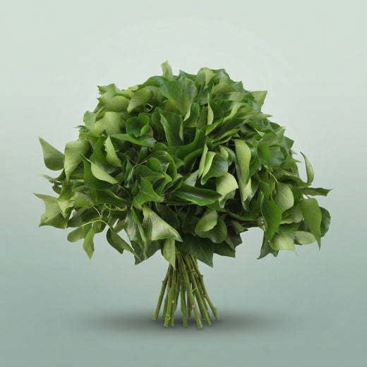 FeedSync:wholesale:cdafaa10eb7dc5e14e14f0dbd2bebc346c12ca6b