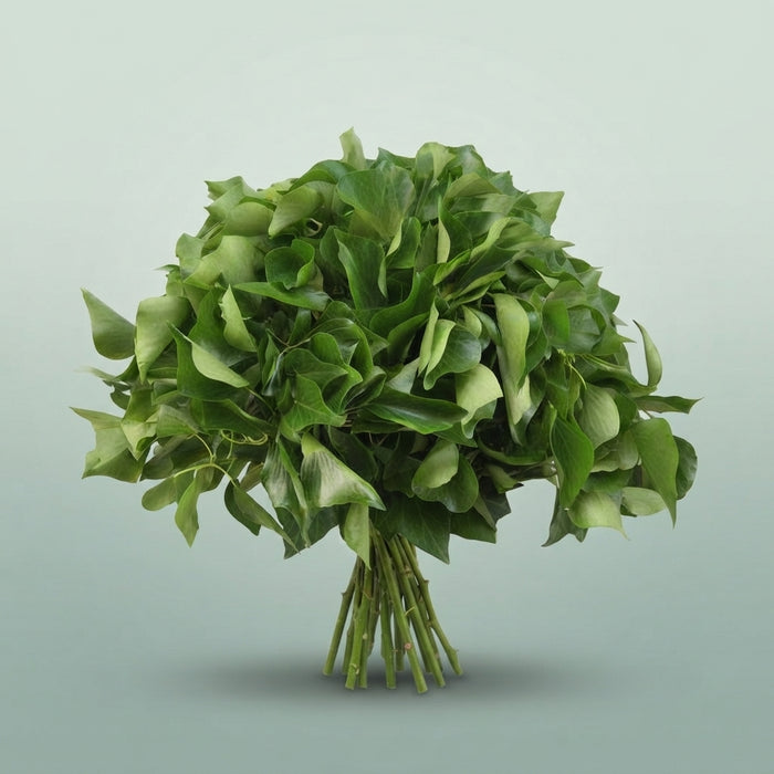 FeedSync:wholesale:cdafaa10eb7dc5e14e14f0dbd2bebc346c12ca6b