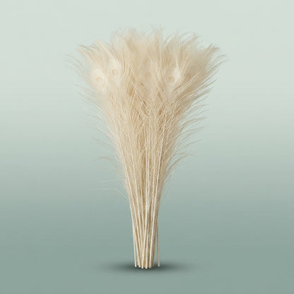 FeedSync:wholesale:24f7eb5399595ca550b8164fb0dbb53f317911b4