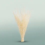 FeedSync:wholesale:6c6257ef98a326c81d2c4274974bd6e7d193bbd2