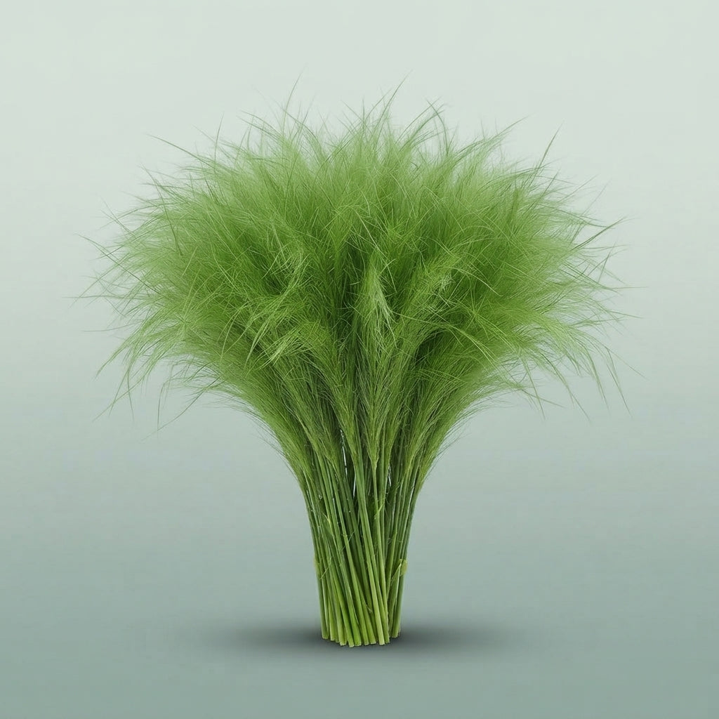 FeedSync:wholesale:fbfd7b18c8900aa0b42c58cefba4c8b72c7a9083