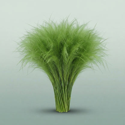 FeedSync:wholesale:fbfd7b18c8900aa0b42c58cefba4c8b72c7a9083