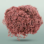 FeedSync:wholesale:37dd0f76eb03ddd05be1e27998d56e63d672d8af