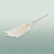 FeedSync:wholesale:b7b275cd8dcd4f3a9c108618cbaa4355c66fc16e