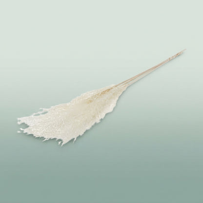 FeedSync:wholesale:b7b275cd8dcd4f3a9c108618cbaa4355c66fc16e