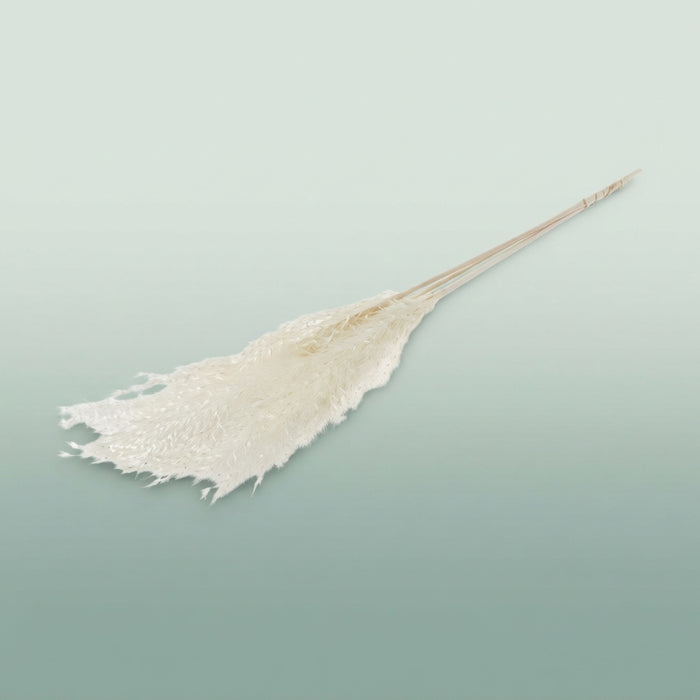 FeedSync:wholesale:b7b275cd8dcd4f3a9c108618cbaa4355c66fc16e