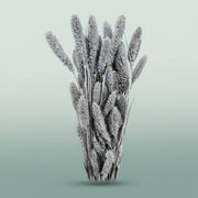 FeedSync:wholesale:9899143833a3287db4679573839a3bd63e2dc81f