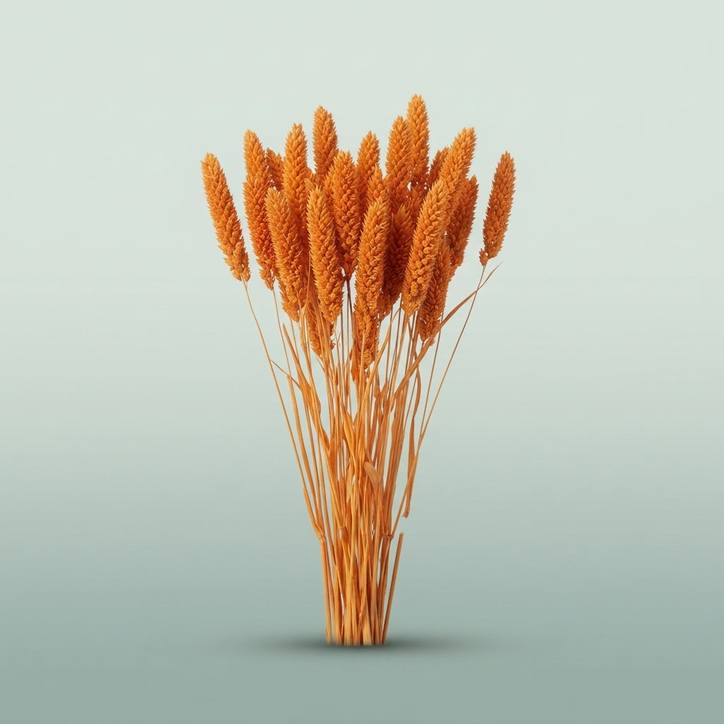 FeedSync:wholesale:c3cd8461f375bc7493fd378fb91154ba833ba569