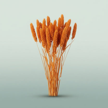FeedSync:wholesale:c3cd8461f375bc7493fd378fb91154ba833ba569