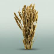 FeedSync:wholesale:6d05816acb105be7e850de9fa82dfeb5fc18badc