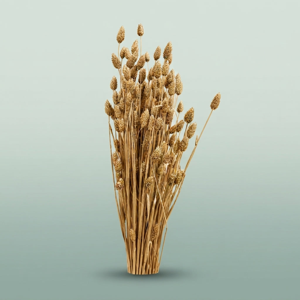 FeedSync:wholesale:82cb281a66ba70b07204505699e8ccacd3cbe9bc