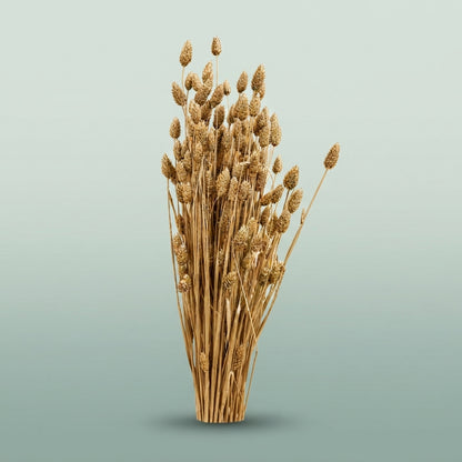 FeedSync:wholesale:82cb281a66ba70b07204505699e8ccacd3cbe9bc