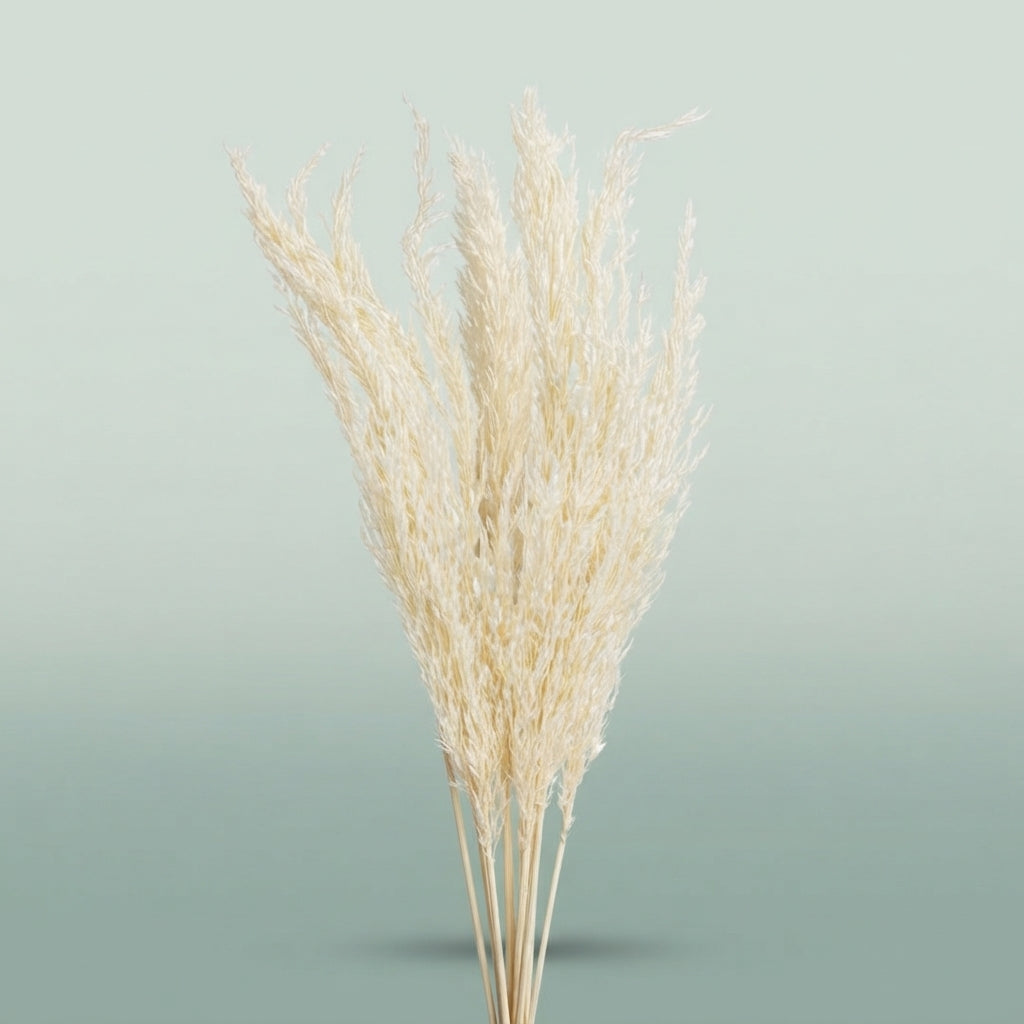 FeedSync:wholesale:967e2a96eb7d6648eb6fa221696ec4d3cb06189b