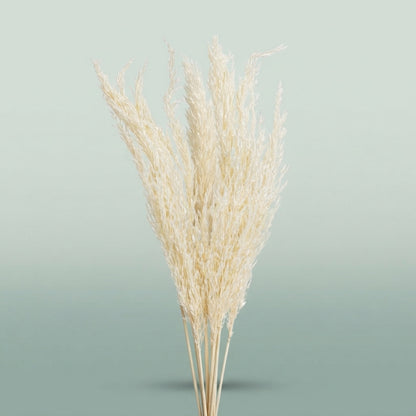 FeedSync:wholesale:967e2a96eb7d6648eb6fa221696ec4d3cb06189b