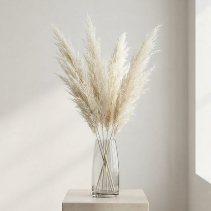 FeedSync:wholesale:f5507f5aeab84497aacc0c9ad566044427ed9811