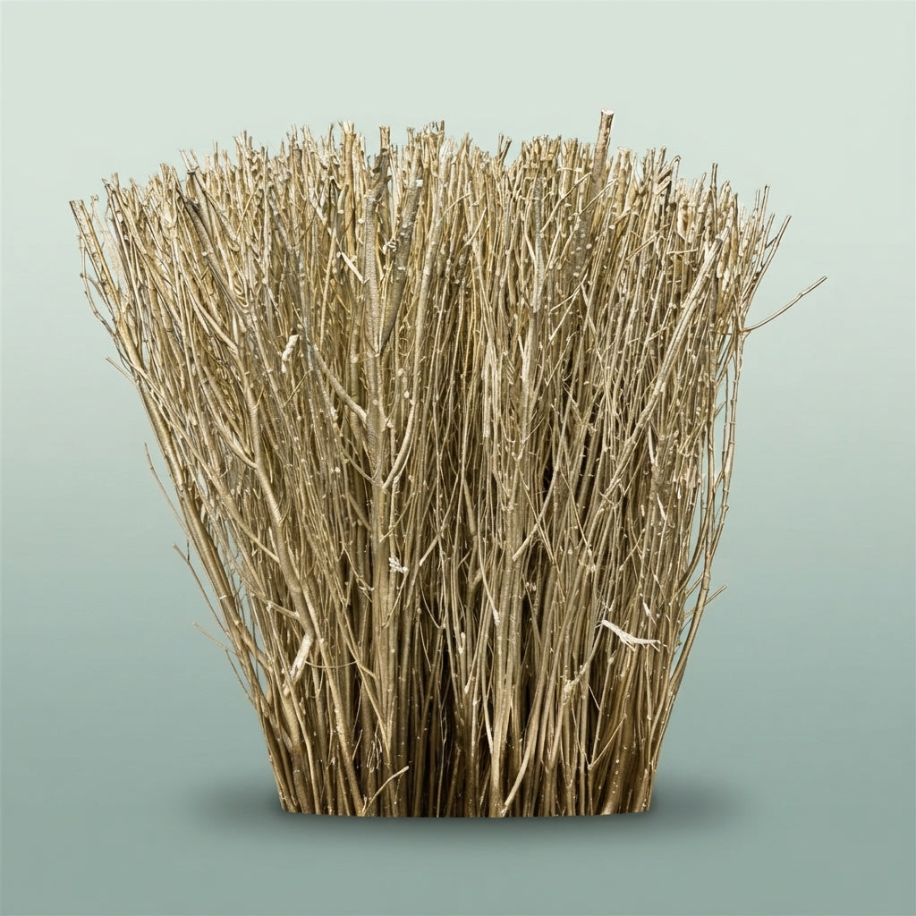 FeedSync:wholesale:0f711616a1ee0beafd69ee81e1922a8f3a9149e2