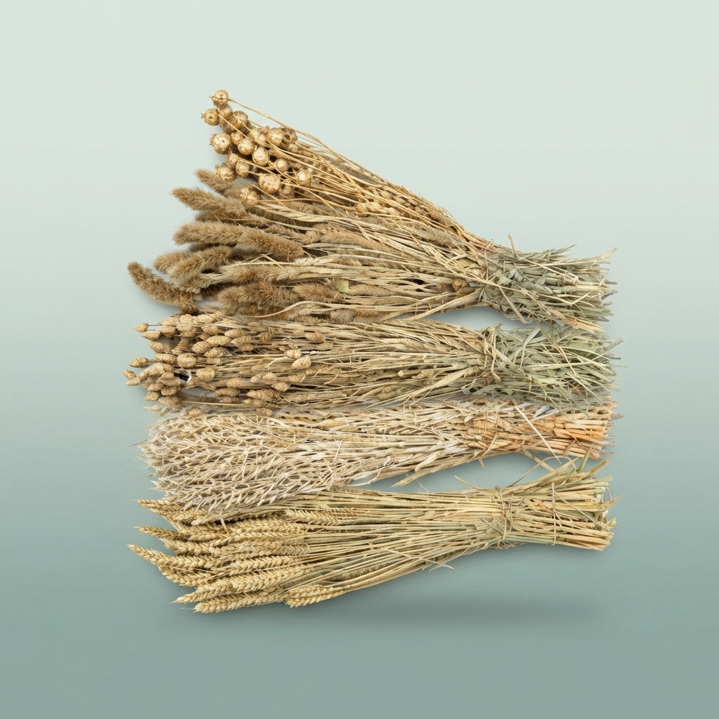 FeedSync:wholesale:187ad9a392718f911f7c7a25961a8ead8d95774c