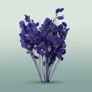 FeedSync:wholesale:08fa04e37ed10a736b8a8f18e526a7bf7ada8abd