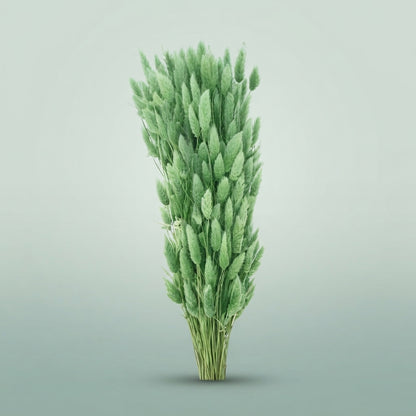 FeedSync:wholesale:bf5d9501a4d9ce965ebf314745cb79b23202b77e