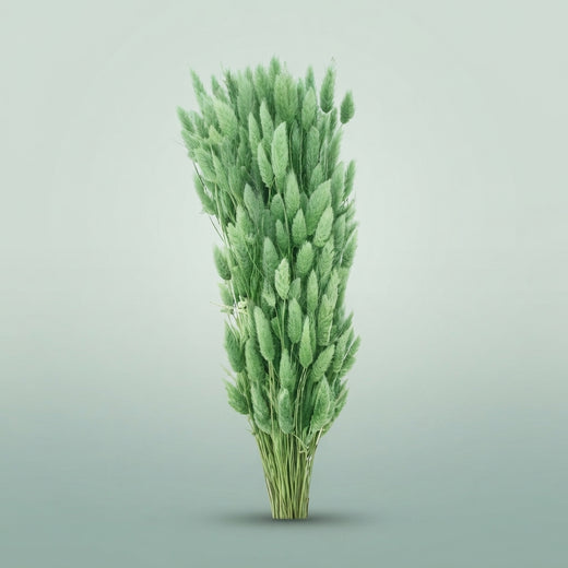 FeedSync:wholesale:bf5d9501a4d9ce965ebf314745cb79b23202b77e
