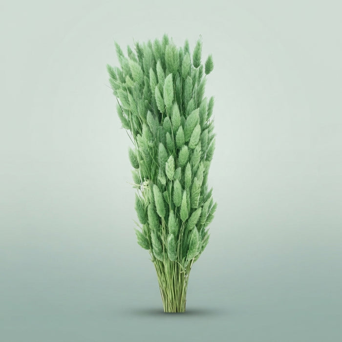 FeedSync:wholesale:bf5d9501a4d9ce965ebf314745cb79b23202b77e