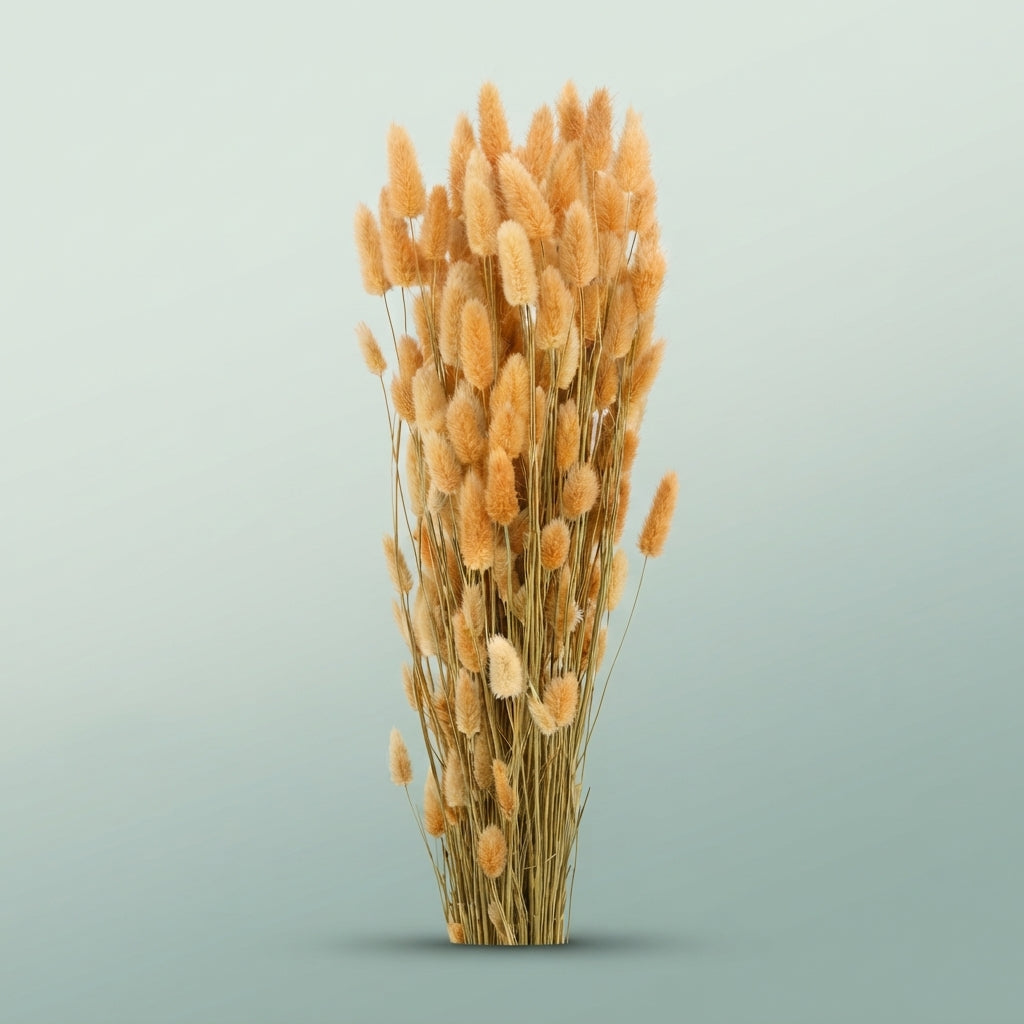 FeedSync:wholesale:3e1b2f0f027f5007c6f7123d55d98a26b1520651