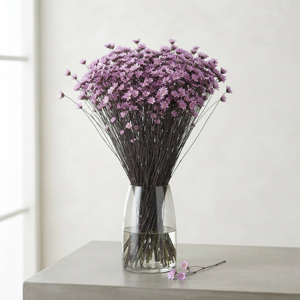 FeedSync:wholesale:a2be9060d7c31cb2841b39d6dbd10cfbb6d32854