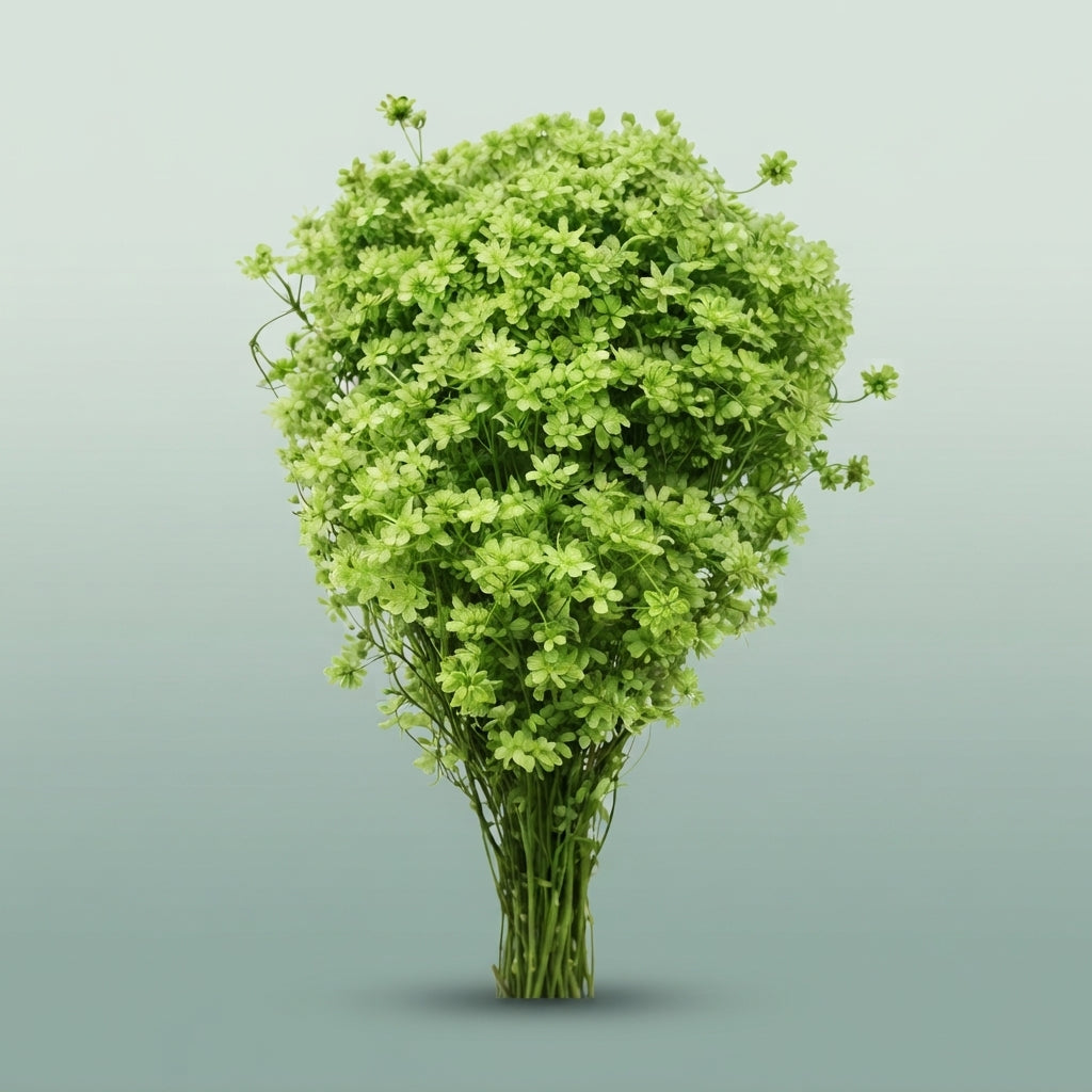 FeedSync:wholesale:e2fe063f055229943b2ac6d95f1fe31319b55aa4