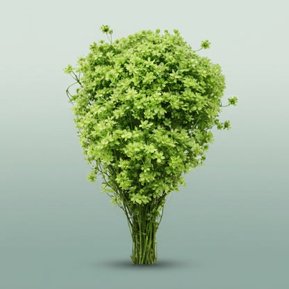 FeedSync:wholesale:e2fe063f055229943b2ac6d95f1fe31319b55aa4