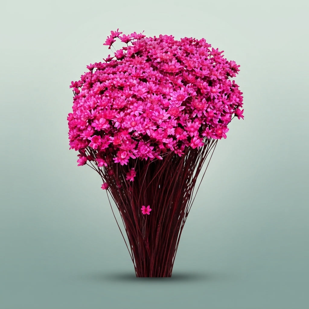 FeedSync:wholesale:0ce6f8be51603a8dd676f0fa466e390b3ad63cbb