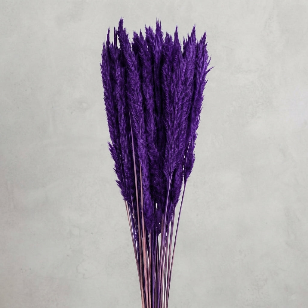 FeedSync:wholesale:9db0382d85db9983c49b4f9bb8801b94fc214b68