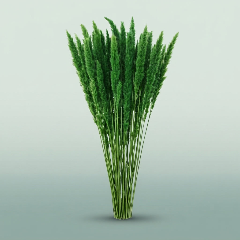 FeedSync:wholesale:14a0a225e753cfb73b47c1efc1d6cafbc0354664