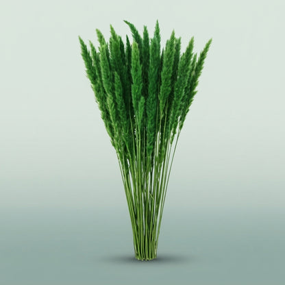 FeedSync:wholesale:14a0a225e753cfb73b47c1efc1d6cafbc0354664