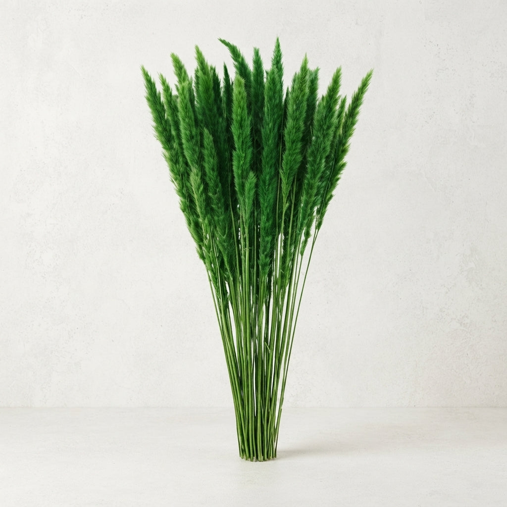 FeedSync:wholesale:23d6b591544a98ea8fc1d10b3c3cfd6312819858