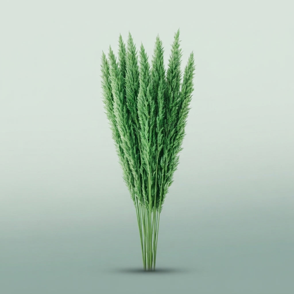 FeedSync:wholesale:714ed484c79001187af010b05c9ede1dadb9fae0