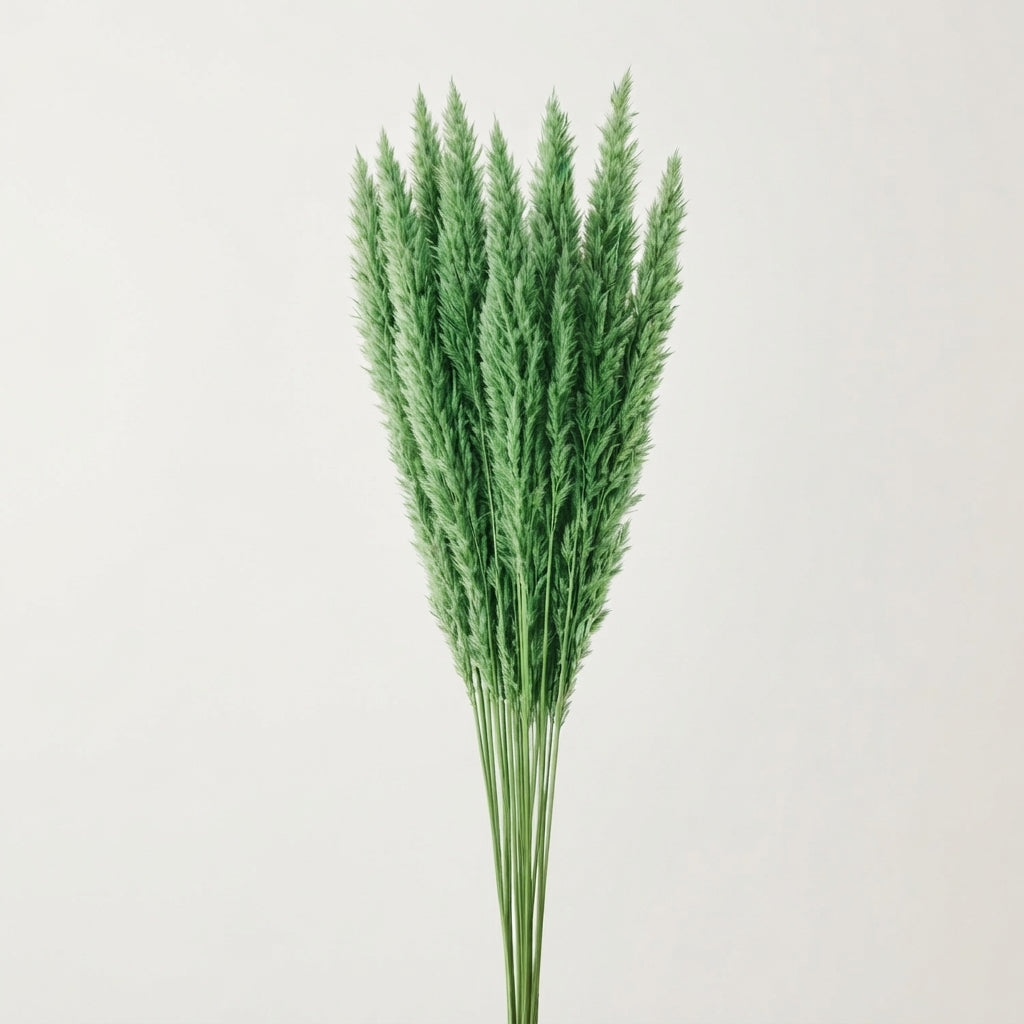 FeedSync:wholesale:6b2ee351ab27f17511cac9ba785aea961ad614a0