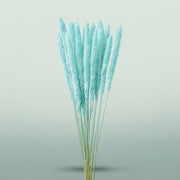 FeedSync:wholesale:c087467ac88260786d3cb91a502c88fcd933a019