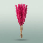 FeedSync:wholesale:5d72e312002e41c8feb3c2bec3f57f15aff92196