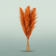 FeedSync:wholesale:f4d58fc5a089d4934de0d1090f2be18513c63c0d