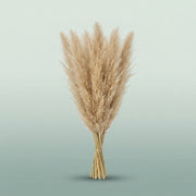 FeedSync:wholesale:55faaff30d54ee09f21297691f0799c97d94a2de