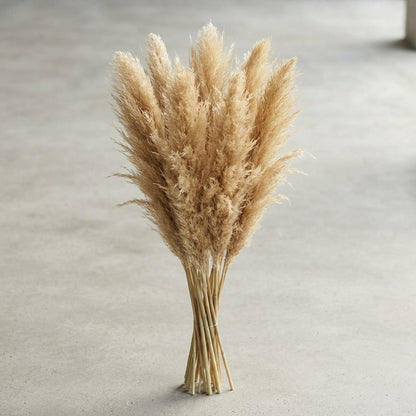 FeedSync:wholesale:67ae8bfedf79f786ec98be6a9b40eb2bd035c718